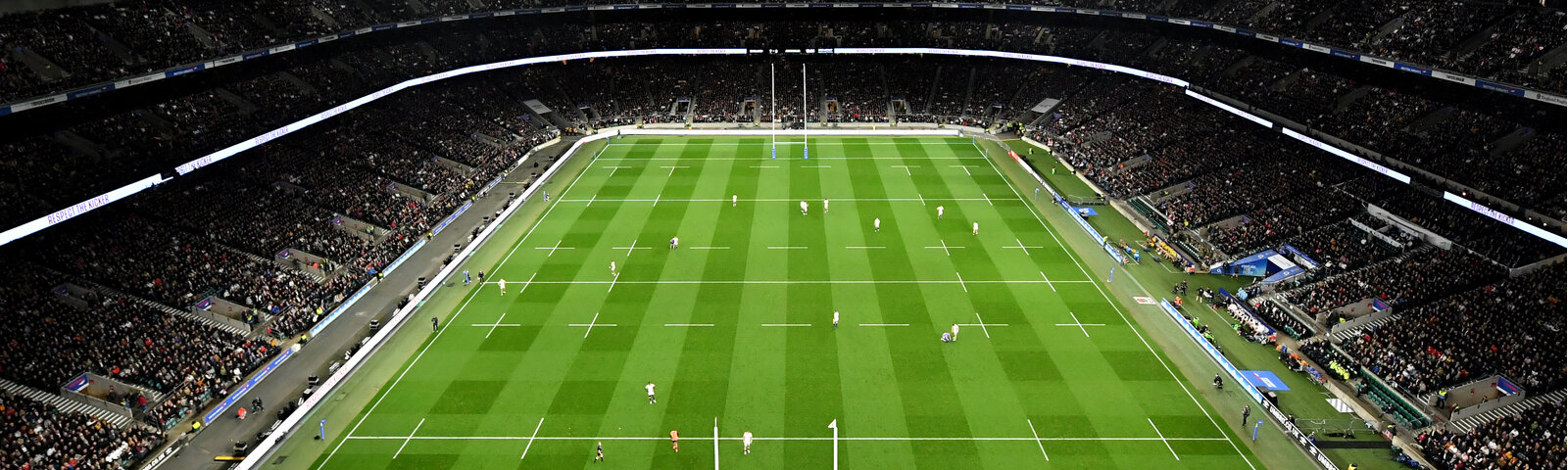Twickenham pitch