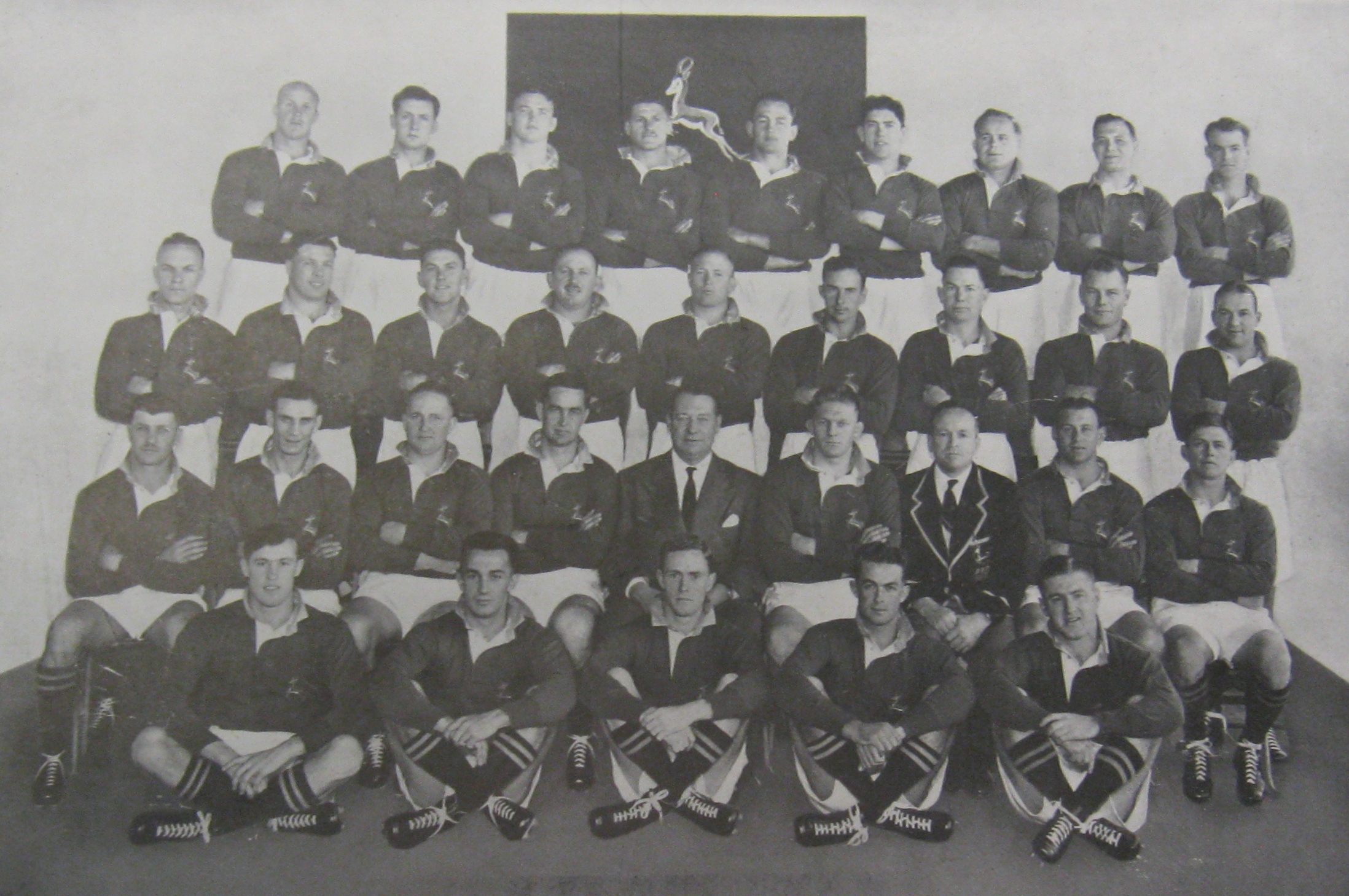 1951 Springboks touring team